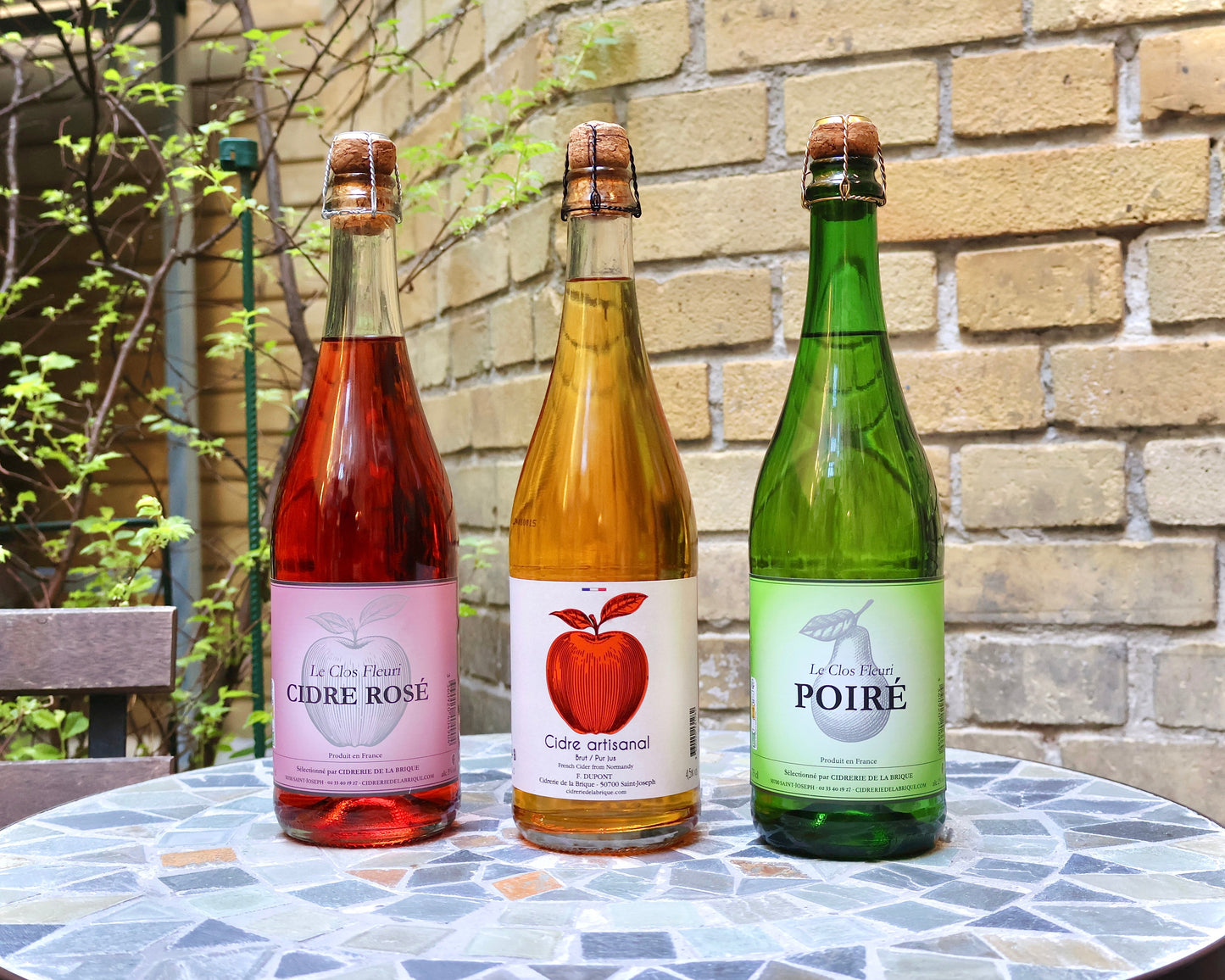 Smagekasse - Lyskrydset - 6 x Brique cider - 75cl